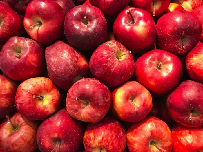 The price of first class red tree apple for export in Urmia