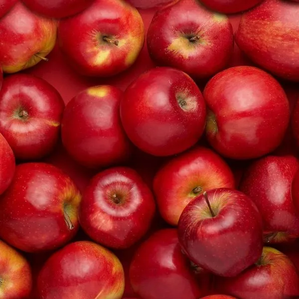 Export red apple