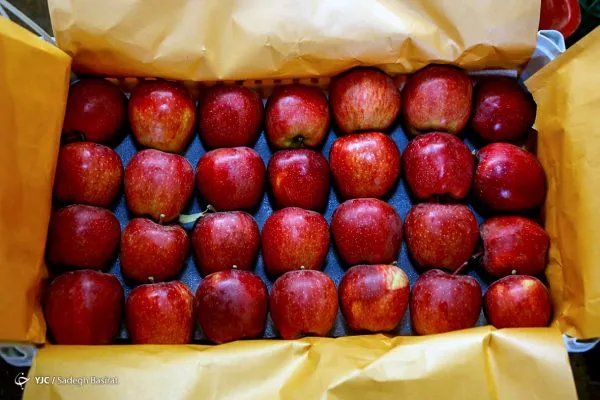 Red Super Semiram apples, class 90 to 120 pieces