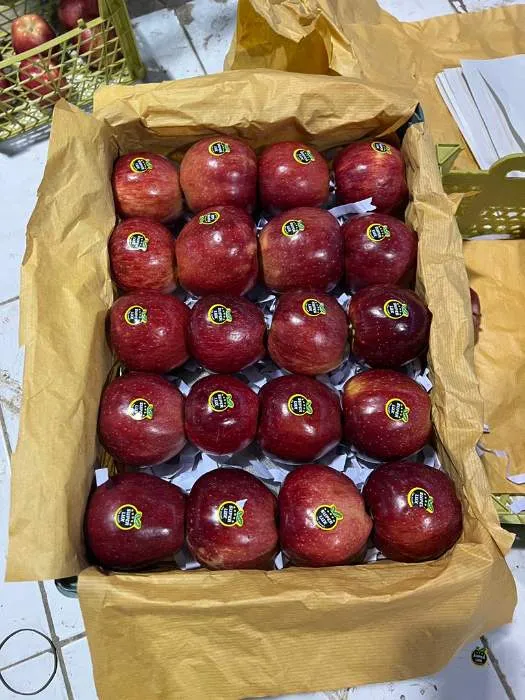 White and red apples, two rows and three rows