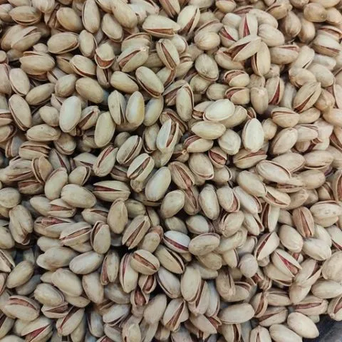 Akbari pistachios handpicked without salt